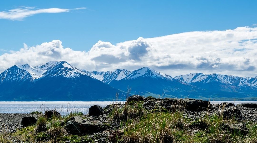 Anchorage to Seward Transfer & Tour