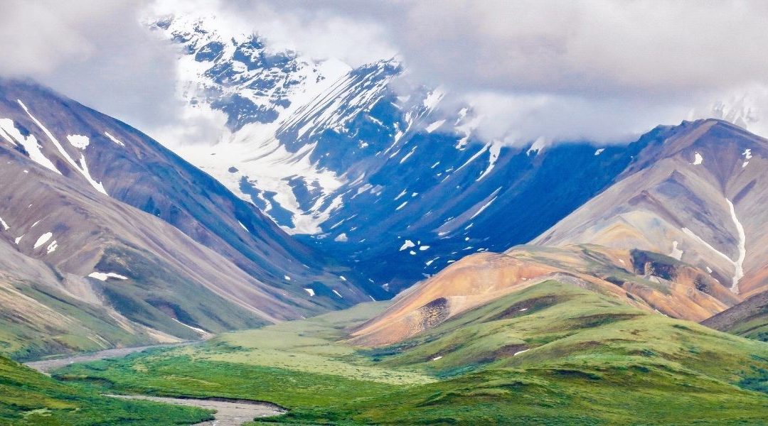 Denali Photo Excursion