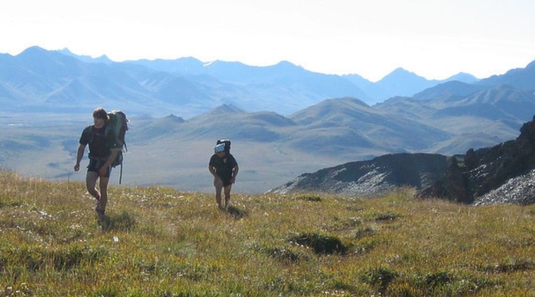 Denali Hiking – Steps Thru Time